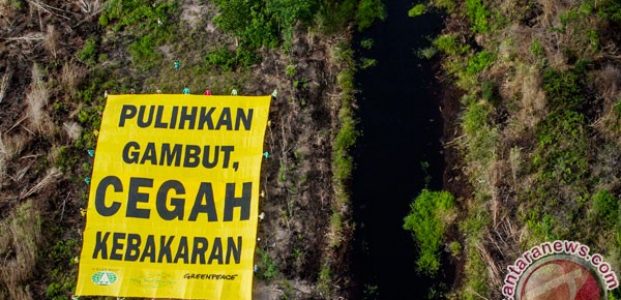 Kabut Asap di Kalsel Sudah Bikin Kesel Kabut Asap di Kalsel Sudah Bikin Kesel
